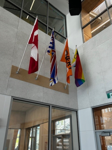 Flags in the gym